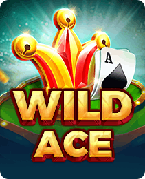 Wild Ace on Ace 777 Game